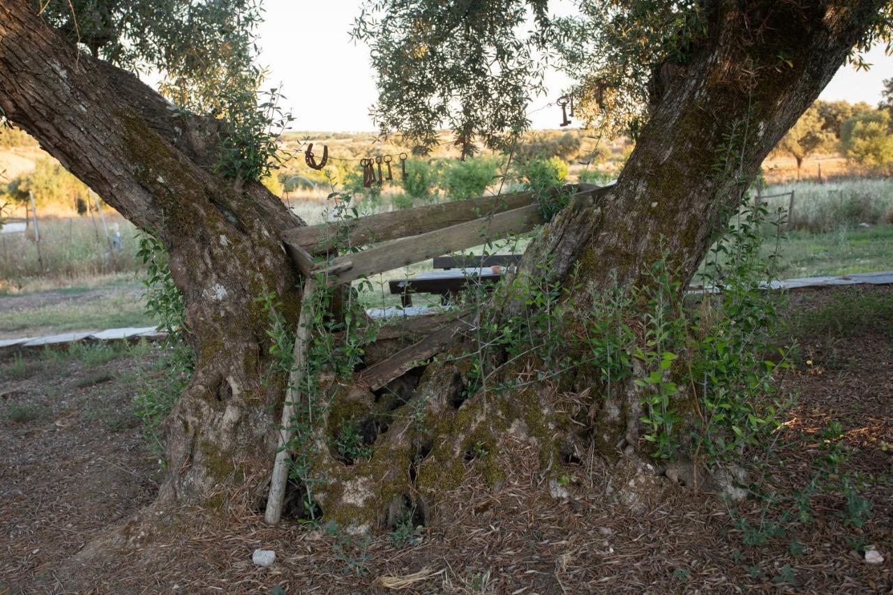 Monte Dos Vicentes Herdade Da Yucca Terena Bagian luar foto